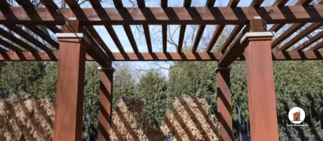 wooden pergola in a backyard space with trees