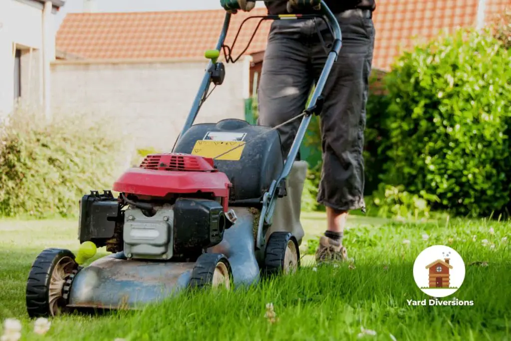 man mowing his tall back lawn with a gas lawnmower