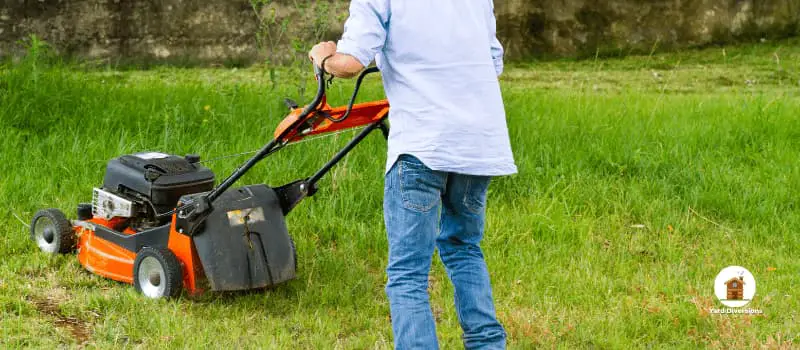 man with a pushed gas lawnmower cutting his backyard grass in jeans