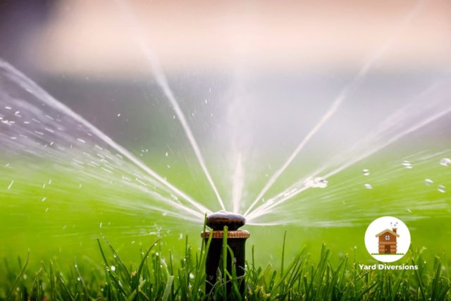 Close up of a lawn sprinkler out and spraying on the green grass
