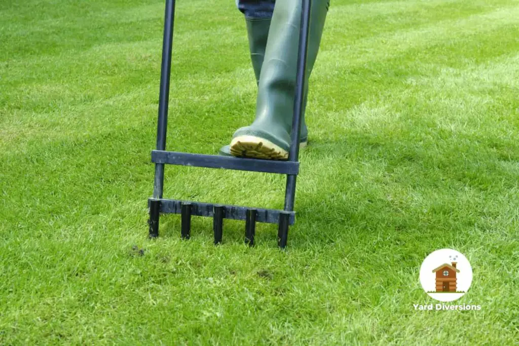 Person using a manual aerator to poke holes in the soil in their yard