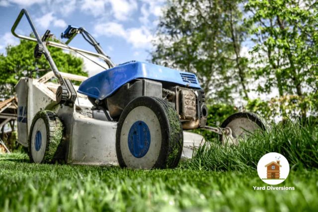 blue top lawnmomwer on cut grass next to a section of uncut grass