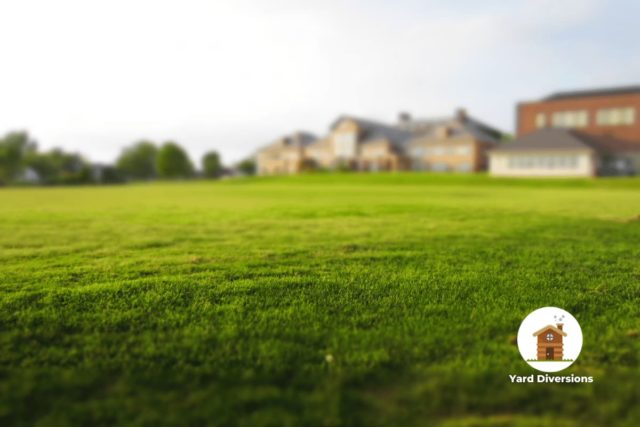Clean cut grass in the backyard of a residence