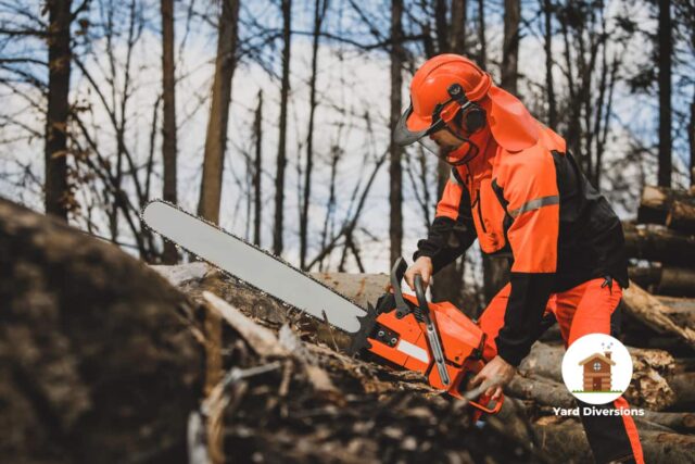 man in the woods cutting down fell trees with orange chaps and safety gear