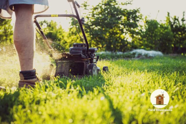 Man mowing the yard in shorts with lots of tall dry grass