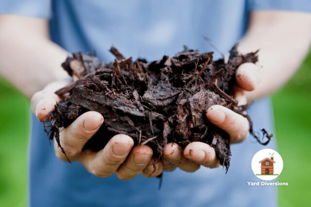hands holding bark mulch