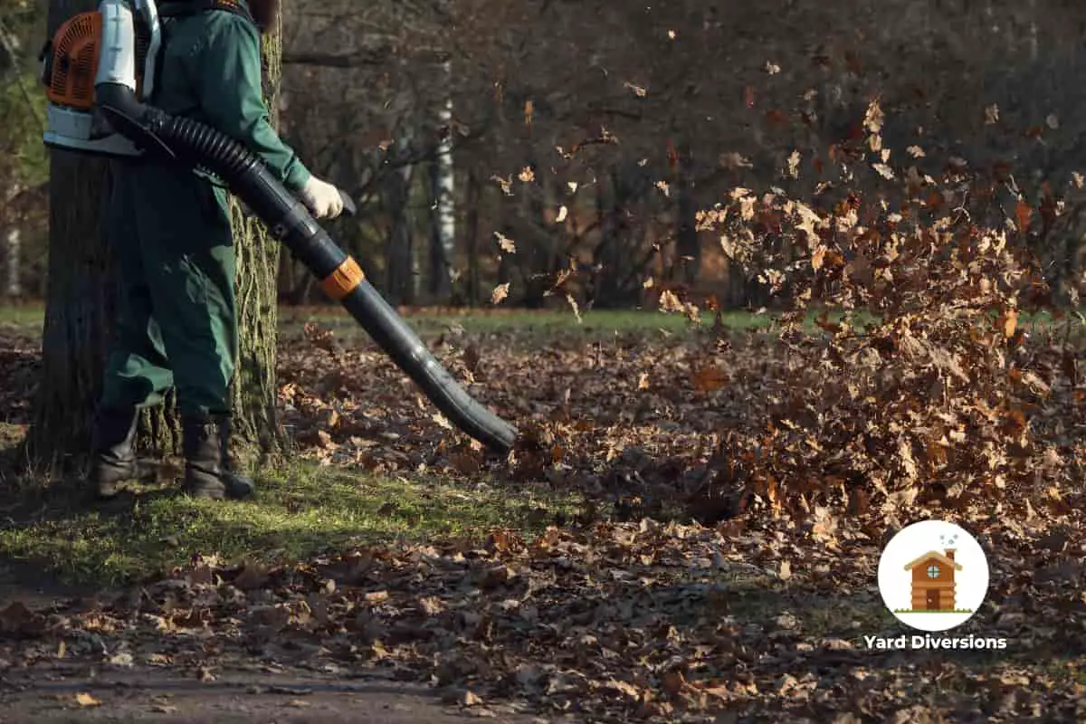 Man yusing a gas leaf blower on his back to clean up his yard of leaves