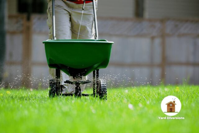 Yard fertilizing with a spreader on green grass