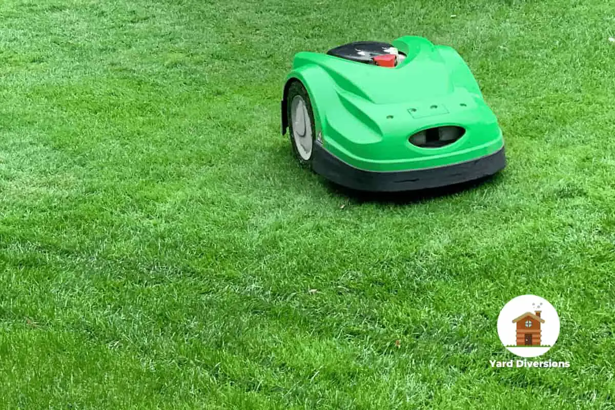 A green robotic lawn mower on freshly cut grass