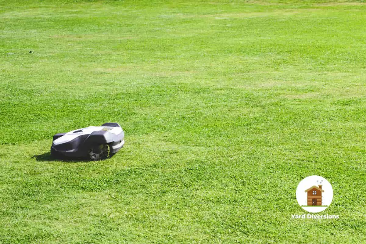 A robotic lawn mower cutting a large field of grass
