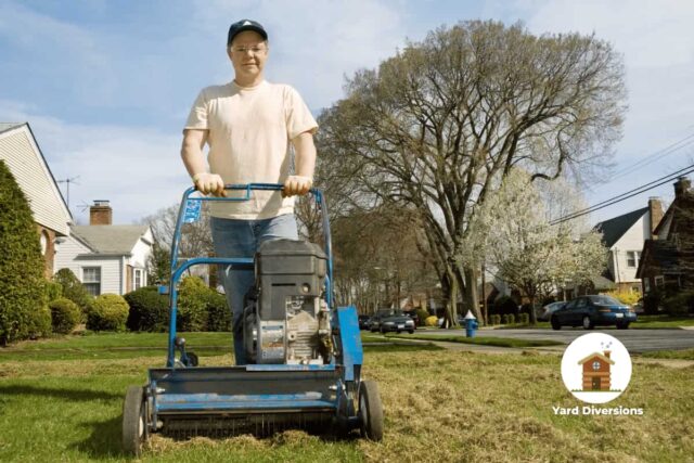 man de-thatching his front lawn with power rake