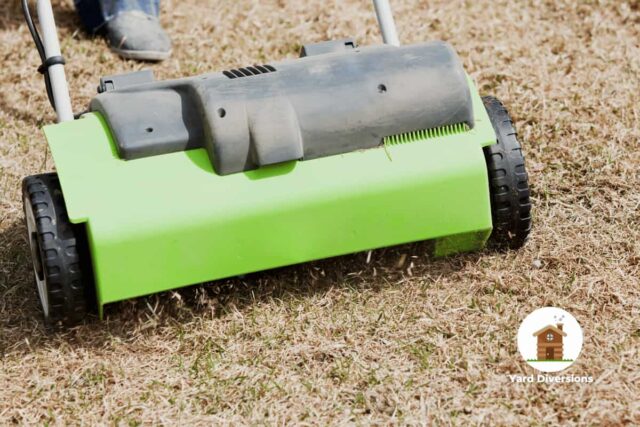 Electric Power Rake Dethatching Spring Yard Grass