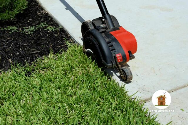 small lawn edger cleaning up along a concrete path