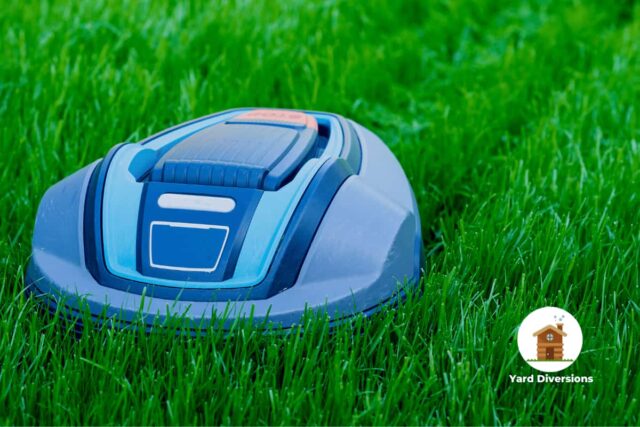 blue robotic lawnmower cutting luscious green high grass