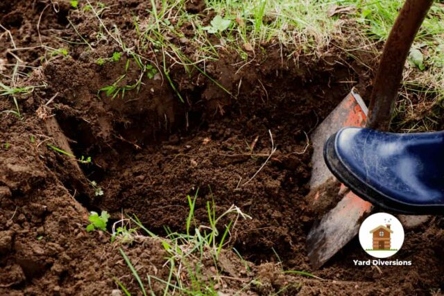 Starting to dig a post hole with a shovel