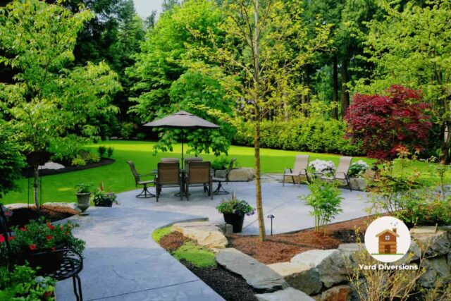 Large lush green backyard with numerous trees and shubbery
