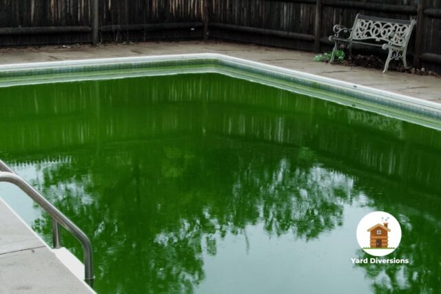 Pool green with algae that is in dire need of a shock and reboot