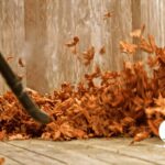 Leaf blower cleaning up leaves on a backyard patio