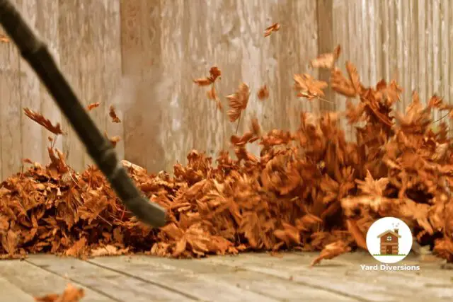 Leaf blower cleaning up leaves on a backyard patio