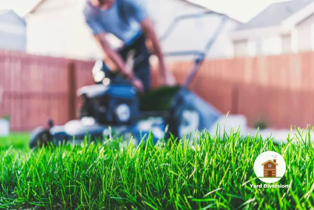 Close up of grass with a lawnmower in the background