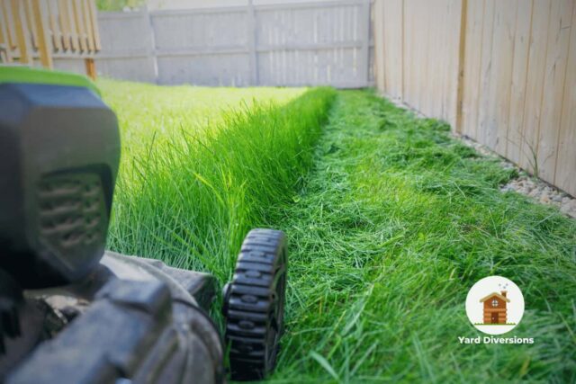 Lawn mower cutting taller grass leaving the clippings on the lawn to help release nutrients back in