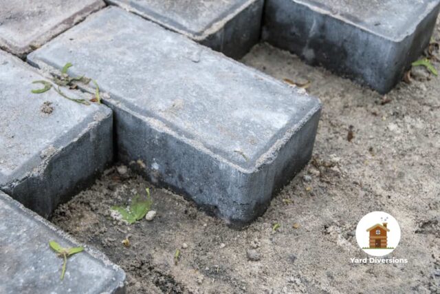 Concrete pavers on a compacted dirt surface